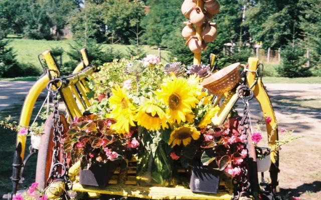 Vizimalom Panzió és Kemping