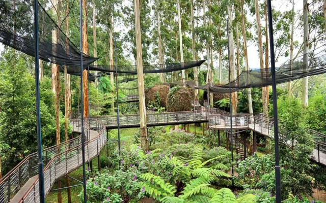 Dusun Bambu Resort