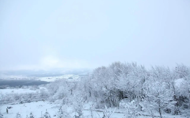 Yaban Yasam Chalets