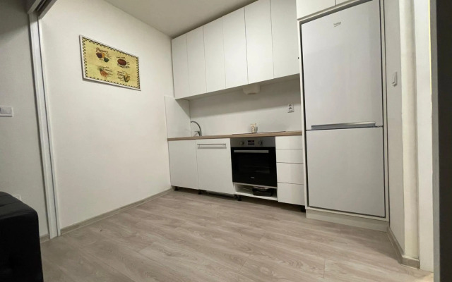 Red&Black Apartment City centr