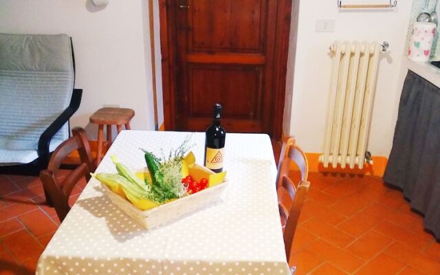 Azienda Agricola Ornina