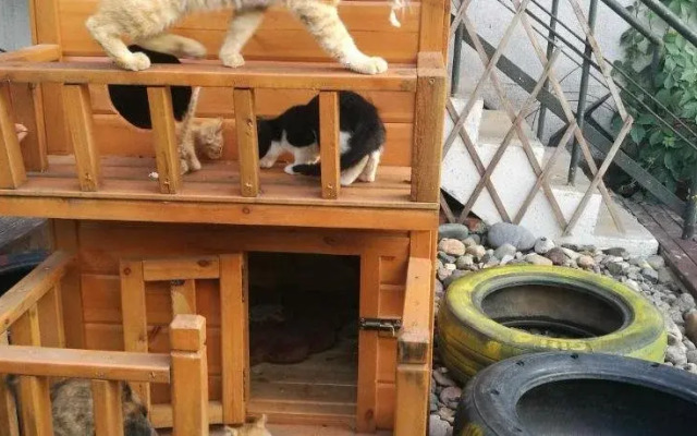 Luoyang Anximen Young Hostel