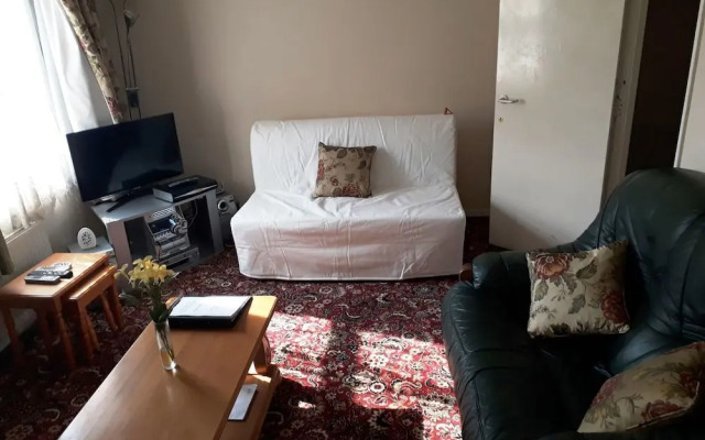 House with a garden in Arnos Grove
