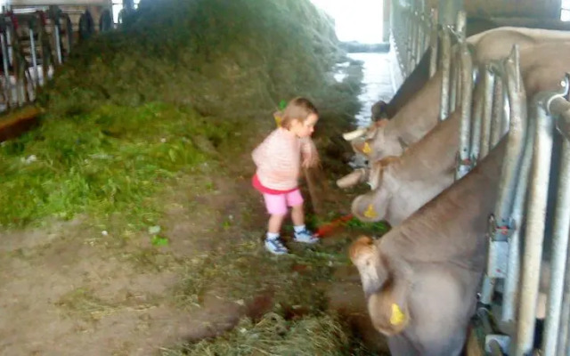 Im Höfle Ferienwohnungen