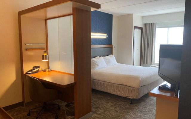 SpringHill Suites by Marriott San Antonio Alamo Plaza/Convention Center