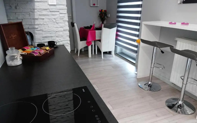 Apartament Exclusive