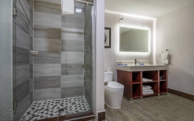 The Leo Collection Detroit, Ascend Hotel Collection
