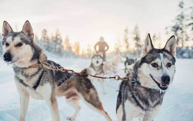 Utsjoki Arctic Resort