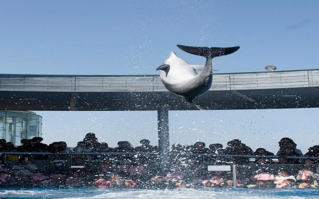 Dormy Inn Oita Hot Springs