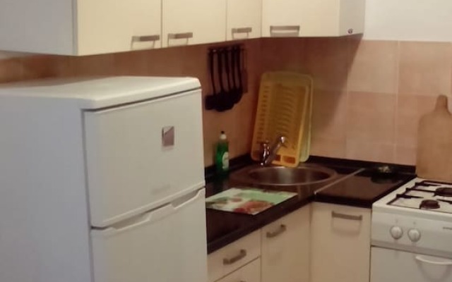 Apartment Vladimir