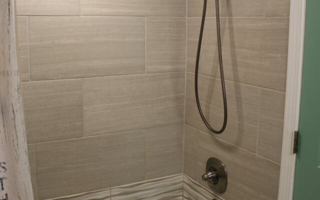 Sand Dollar by Surfside VR