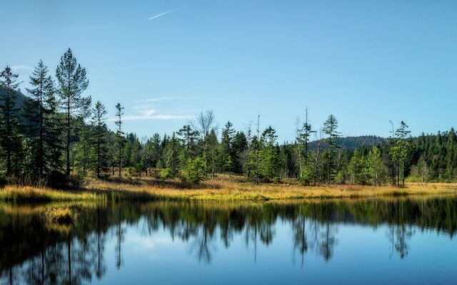 Lovely Chalet in La Bresse with Balcony