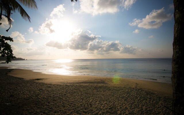 Robbie's Place Tobago