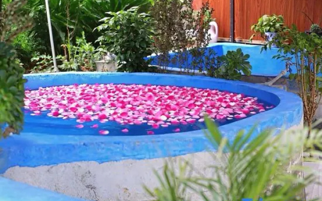 Yunong Hot Spring Courtyard Homestay (Hailuogou Glacier Forest Park Branch) – Pool – Luding