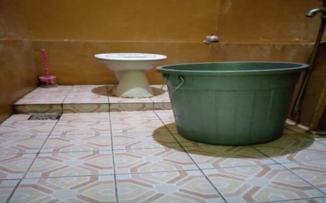 Jungle Tribe Guesthouse