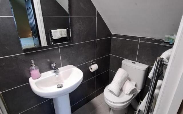 Lincolns at the Whitehouse