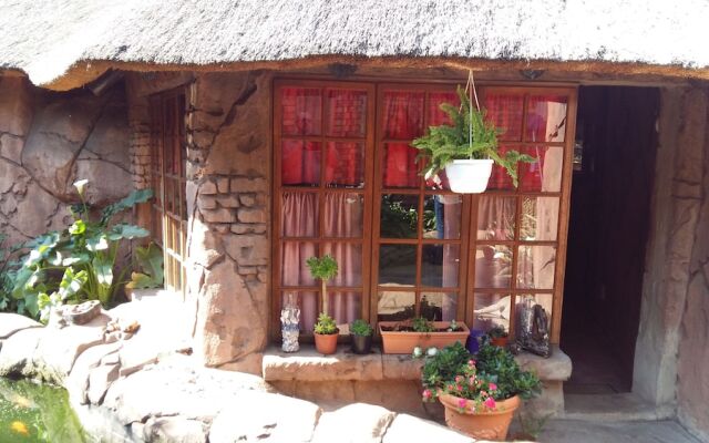 Pride Rock Accommodation