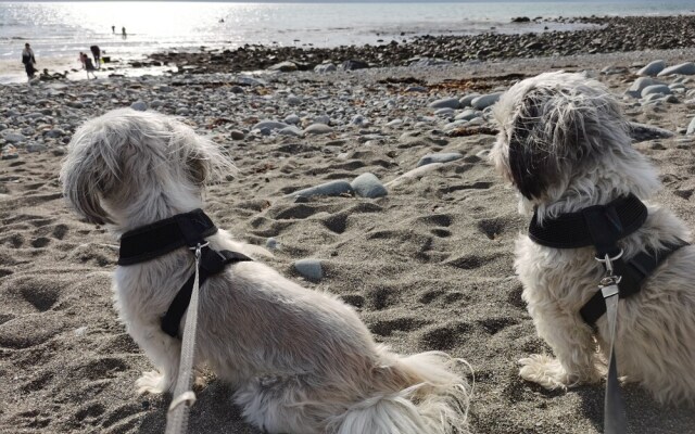 Snowdonia Sunbeach Holiday Sea and Mountain View