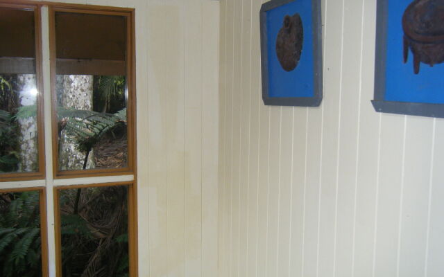 Rainforest Eco Lodge