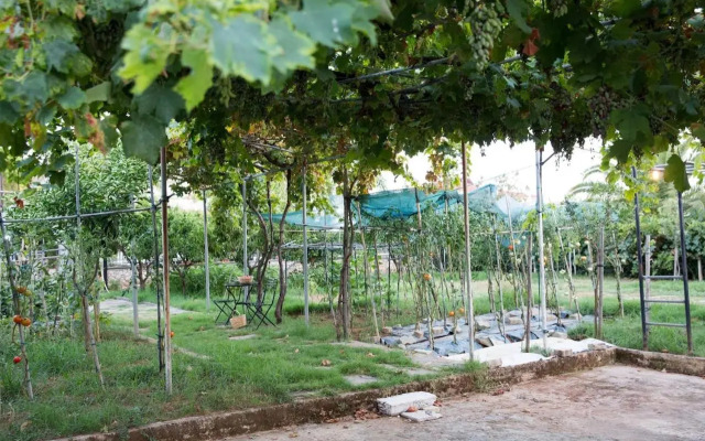 Luxury Country House in Kalamata / SP