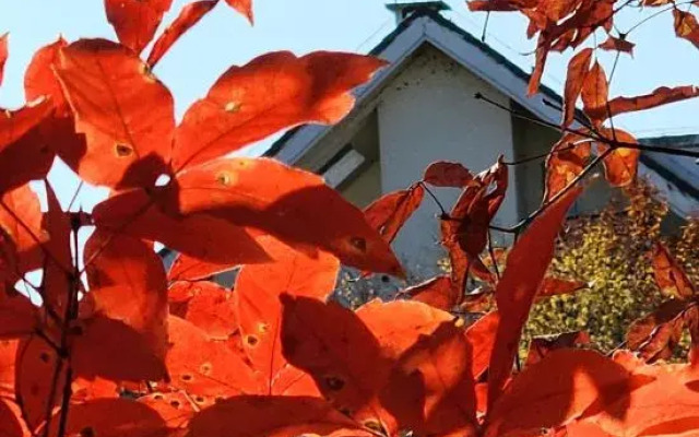 Yuya Homestay (Changbai Mountain Chibei Tourist Distribution Center)