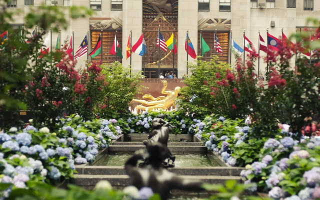 Renaissance New York Chelsea Hotel