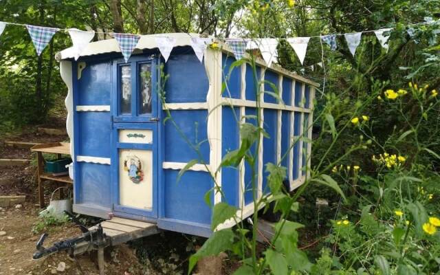 Pilgrims Shepherd's Hut - Goosewell Glynn Glamping