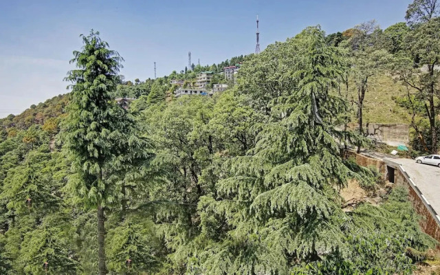 Treebo Trend Nature Peace