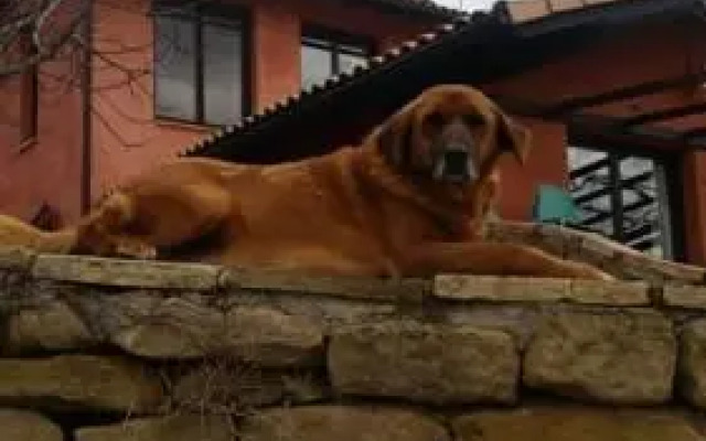 Hostal Rural Casa Pedro