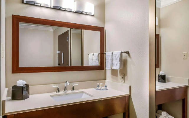 Comfort Inn & Suites At Copeland Tower
