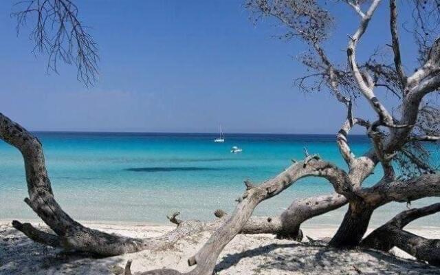 Coin Tranquille a 2km de Saint-Florent