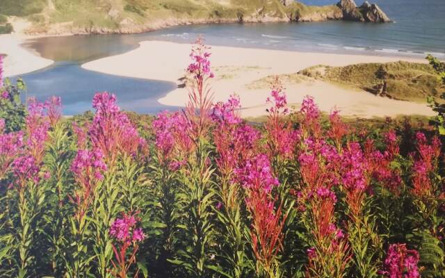 Myrtle Cottage Vacation Rooms