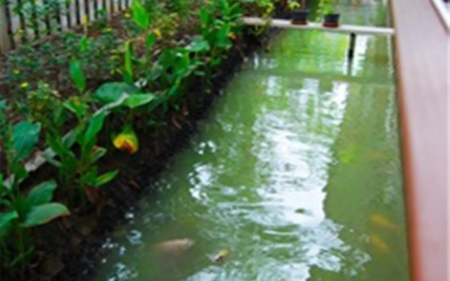 Warakorn Baansuan - Amphawa