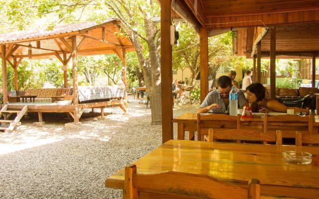 Saban Tree Houses