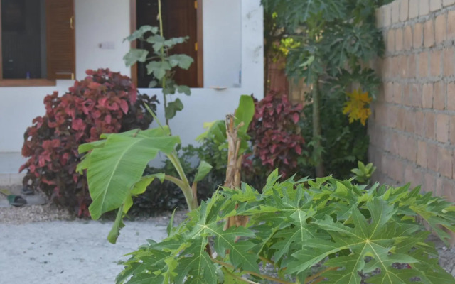 New Arisen Bungalows