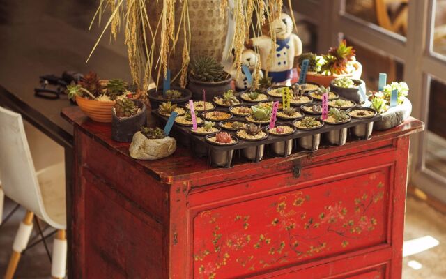 Grandma's Maomaocool Travelling Hotel