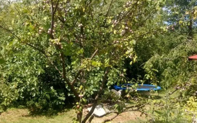 Orange Cube Apartment