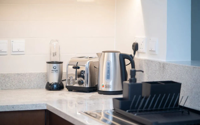 Luxurious 1BR in Downtown