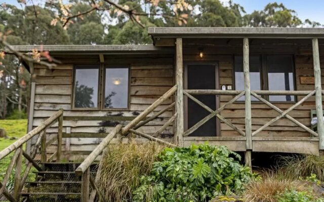 Mole Creek Cabins