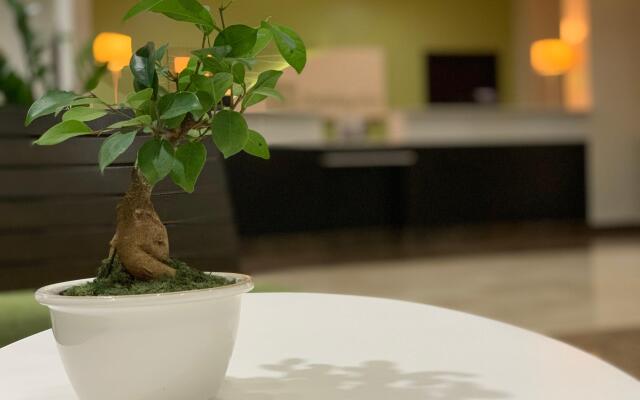 Holiday Inn Mayaguez and Tropical Casino by IHG
