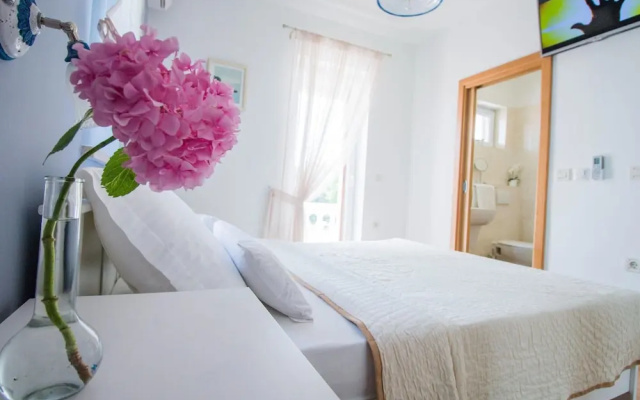 Spacious Holiday Home in Privlaka With Garden