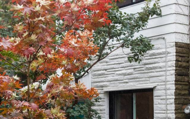 Row Home in the Heart of Toronto