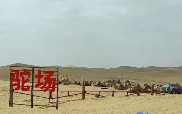 Tengger Desert Yingsha Good - dream Desert Campground