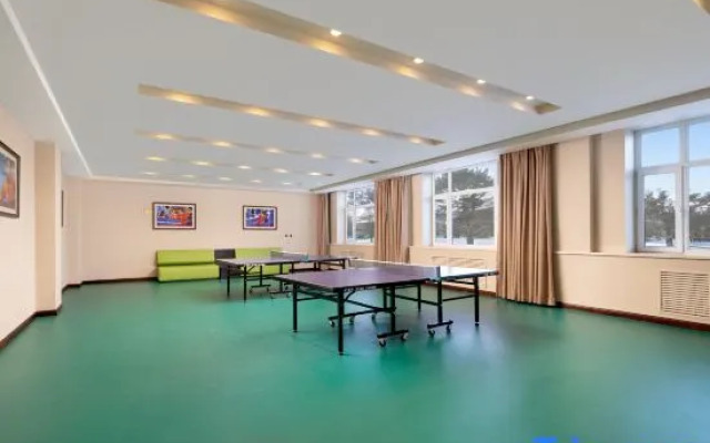 Mohe Songyi Hotel (Arctic Village)