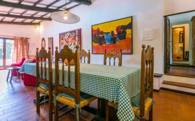 Bardeggiano - Caterina 4 (COL247)