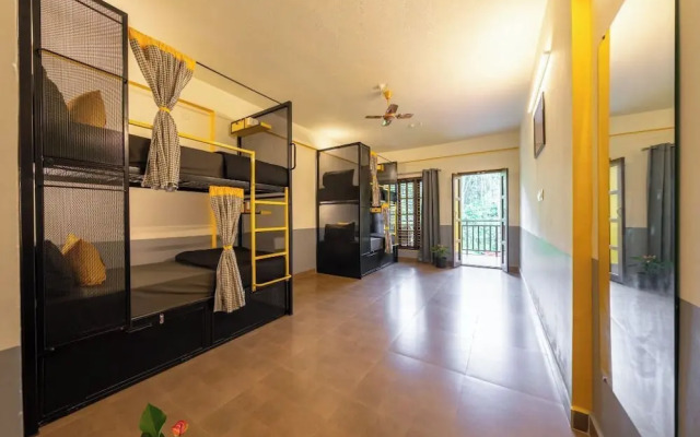 The Hosteller Coorg Rainforest, Madikeri