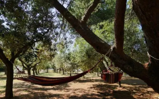 Agriturismo Orto Dei Giulivi