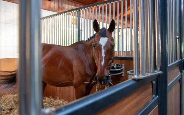 Hubertus Aparthotel & Restaurant & Horse Club