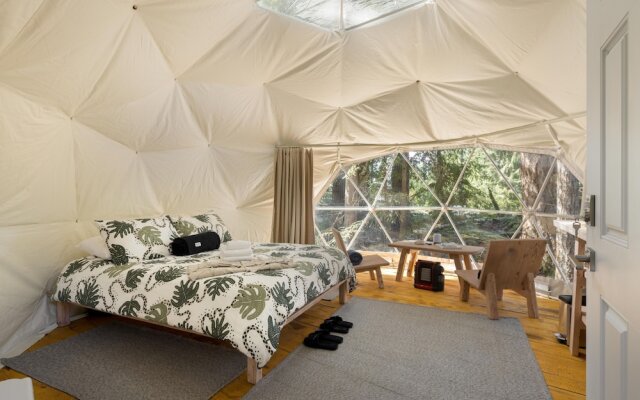 Stay Wilder - Adults Only