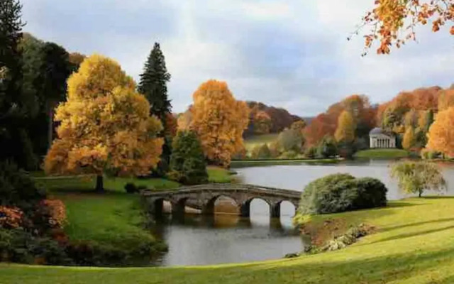 The Maple - North Dorset